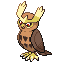 Noctowl