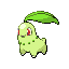 Chikorita