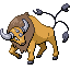 Tauros