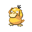 Psyduck