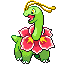 Meganium