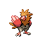 Spearow