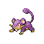 Rattata